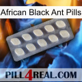 African Black Ant Pills 08